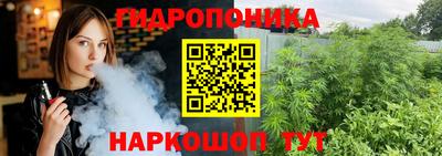 spice Заводоуковск